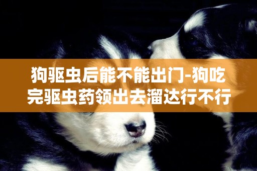狗驅蟲后能不能出門-狗吃完驅蟲藥領出去溜達行不行