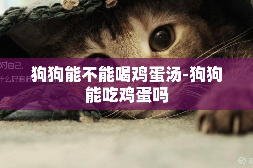 狗狗能不能喝雞蛋湯-狗狗能吃雞蛋嗎