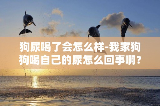 狗尿喝了會怎么樣-我家狗狗喝自己的尿怎么回事啊？