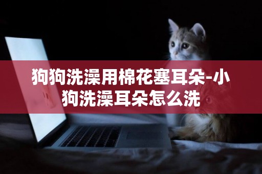 狗狗洗澡用棉花塞耳朵-小狗洗澡耳朵怎么洗