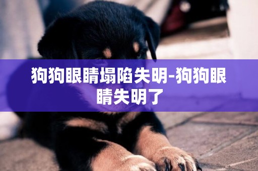 狗狗眼睛塌陷失明-狗狗眼睛失明了