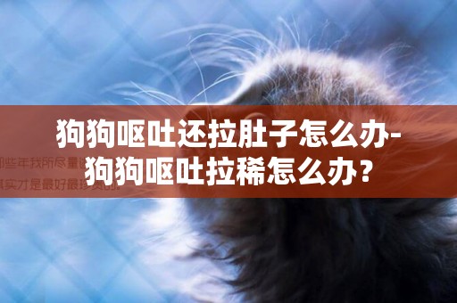 狗狗嘔吐還拉肚子怎么辦-狗狗嘔吐拉稀怎么辦？