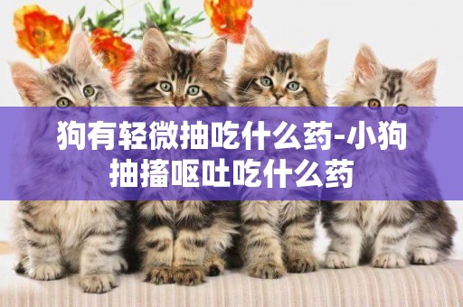 狗有輕微抽吃什么藥-小狗抽搐嘔吐吃什么藥