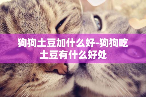 狗狗土豆加什么好-狗狗吃土豆有什么好處