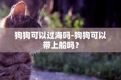 狗狗可以過海嗎-狗狗可以帶上船嗎？