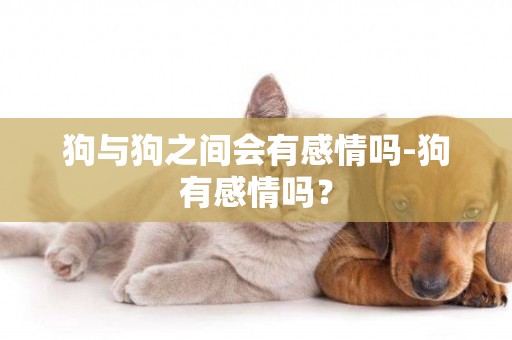 狗與狗之間會有感情嗎-狗有感情嗎？