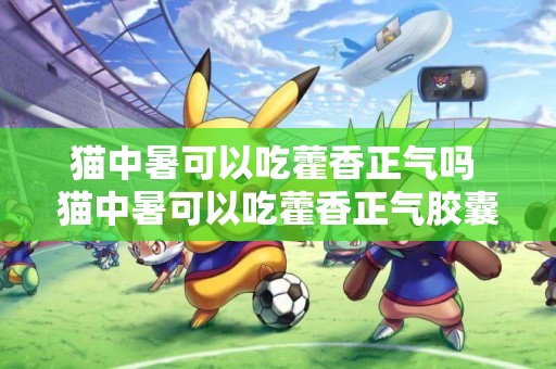 貓中暑可以吃藿香正氣嗎 貓中暑可以吃藿香正氣膠囊沒
