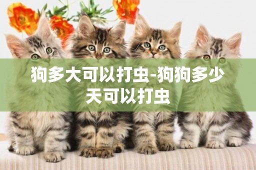 狗多大可以打蟲-狗狗多少天可以打蟲
