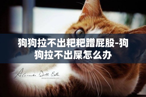狗狗拉不出粑粑蹭屁股-狗狗拉不出屎怎么辦