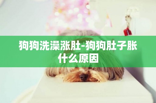 狗狗洗澡漲肚-狗狗肚子脹什么原因