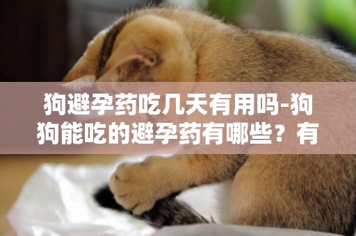 狗避孕藥吃幾天有用嗎-狗狗能吃的避孕藥有哪些？有效果嗎？
