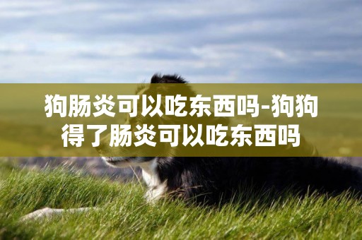 狗腸炎可以吃東西嗎-狗狗得了腸炎可以吃東西嗎