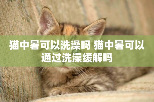 貓中暑可以洗澡嗎 貓中暑可以通過洗澡緩解嗎