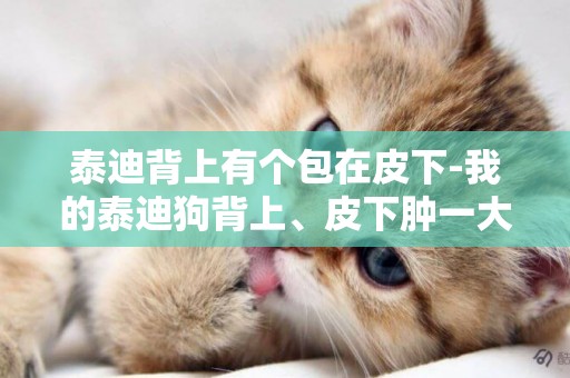 泰迪背上有個包在皮下-我的泰迪狗背上、皮下腫一大包怎么回事？