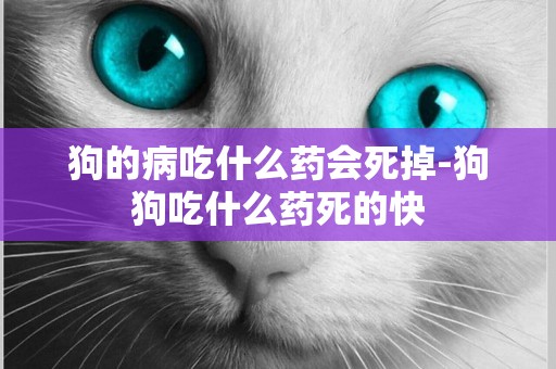 狗的病吃什么藥會死掉-狗狗吃什么藥死的快