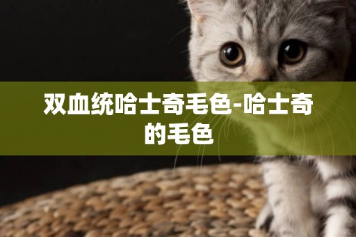 雙血統哈士奇毛色-哈士奇的毛色