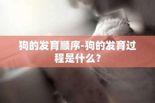 狗的發育順序-狗的發育過程是什么？