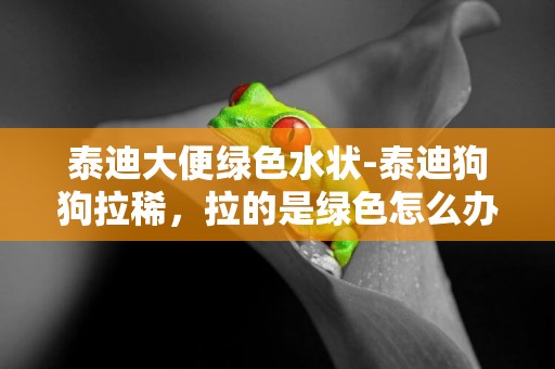 泰迪大便綠色水狀-泰迪狗狗拉稀，拉的是綠色怎么辦？