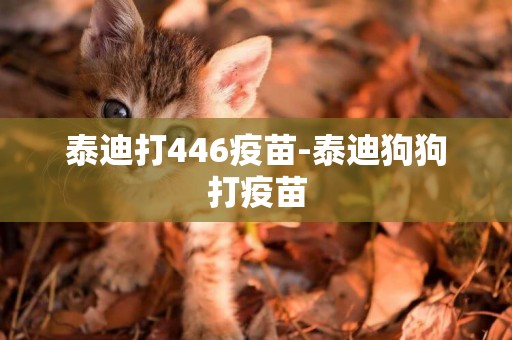 泰迪打446疫苗-泰迪狗狗打疫苗