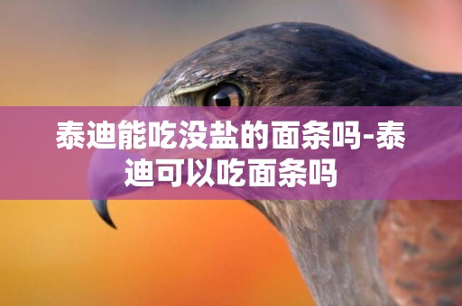 泰迪能吃沒鹽的面條嗎-泰迪可以吃面條嗎