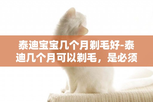 泰迪寶寶幾個月剃毛好-泰迪幾個月可以剃毛，是必須要剃嗎？