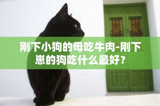 剛下小狗的母吃牛肉-剛下崽的狗吃什么最好？