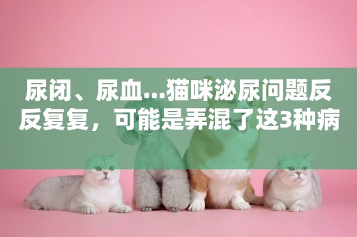尿閉、尿血...貓咪泌尿問題反反復復，可能是弄混了這3種病 