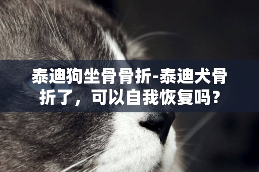 泰迪狗坐骨骨折-泰迪犬骨折了，可以自我恢復嗎？