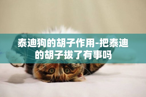 泰迪狗的胡子作用-把泰迪的胡子拔了有事嗎