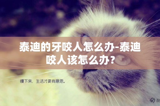 泰迪的牙咬人怎么辦-泰迪咬人該怎么辦？
