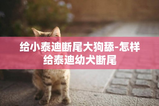 給小泰迪斷尾大狗舔-怎樣給泰迪幼犬斷尾