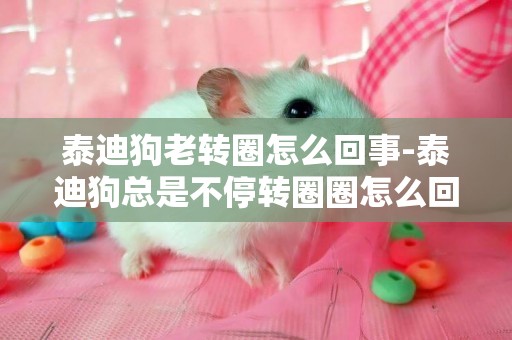 泰迪狗老轉圈怎么回事-泰迪狗總是不停轉圈圈怎么回事