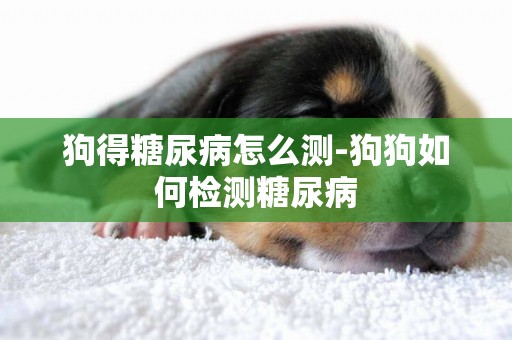 狗得糖尿病怎么測-狗狗如何檢測糖尿病
