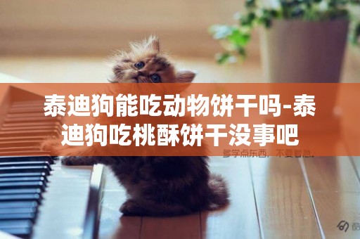 泰迪狗能吃動物餅干嗎-泰迪狗吃桃酥餅干沒事吧