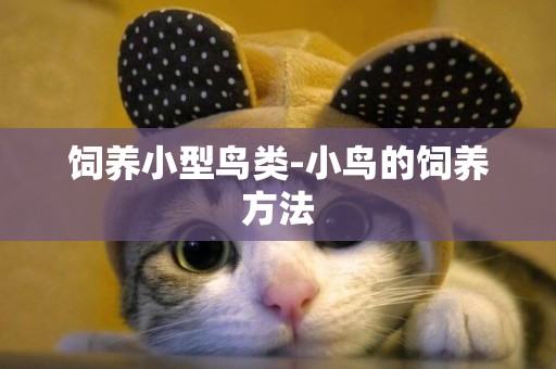 飼養小型鳥類-小鳥的飼養方法