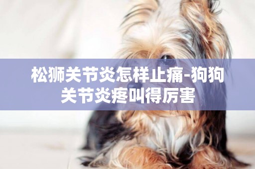 松獅關節炎怎樣止痛-狗狗關節炎疼叫得厲害