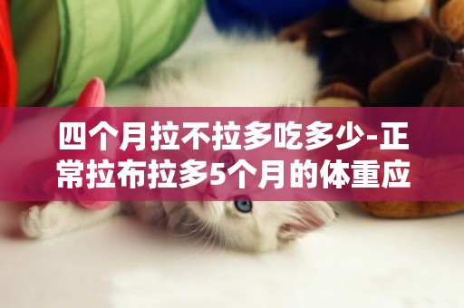 四個月拉不拉多吃多少-正常拉布拉多5個月的體重應該是多少？