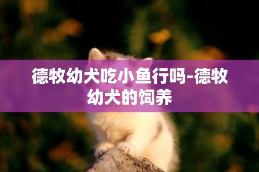 德牧幼犬吃小魚行嗎-德牧幼犬的飼養
