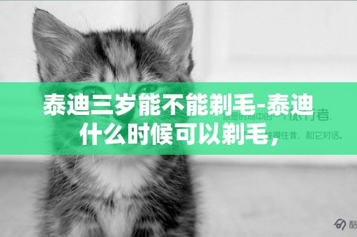 泰迪三歲能不能剃毛-泰迪什么時候可以剃毛，