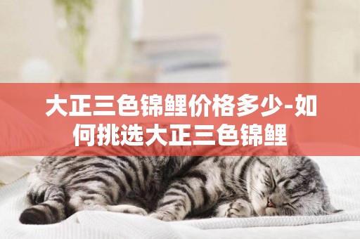 大正三色錦鯉價格多少-如何挑選大正三色錦鯉