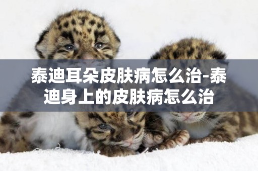 泰迪耳朵皮膚病怎么治-泰迪身上的皮膚病怎么治