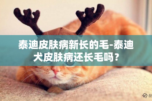 泰迪皮膚病新長的毛-泰迪犬皮膚病還長毛嗎？