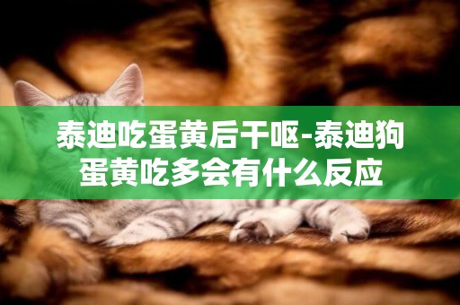 泰迪吃蛋黃后干嘔-泰迪狗蛋黃吃多會有什么反應