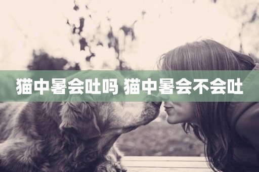 貓中暑會吐嗎 貓中暑會不會吐