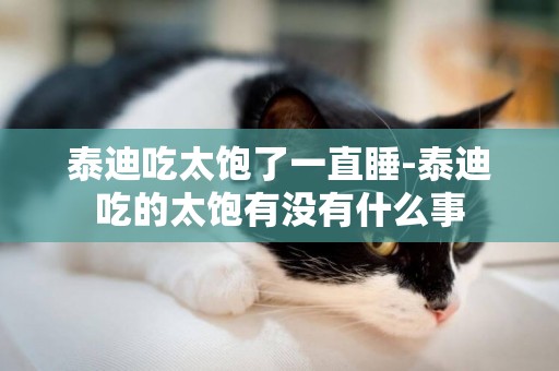 泰迪吃太飽了一直睡-泰迪吃的太飽有沒有什么事