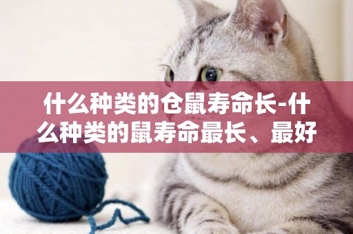 什么種類的倉鼠壽命長-什么種類的鼠壽命最長、最好養?