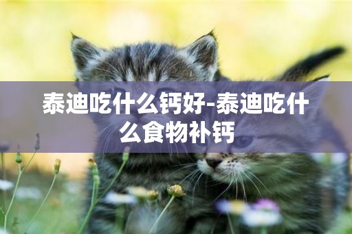 泰迪吃什么鈣好-泰迪吃什么食物補鈣