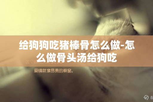 給狗狗吃豬棒骨怎么做-怎么做骨頭湯給狗吃