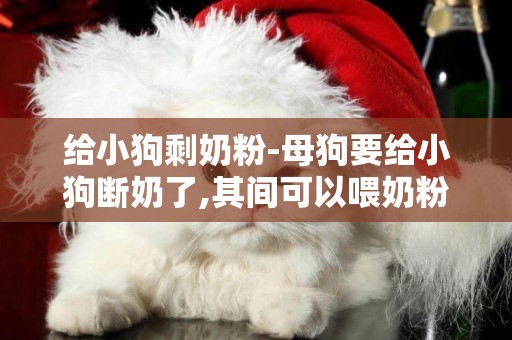 給小狗剩奶粉-母狗要給小狗斷奶了,其間可以喂奶粉嗎,