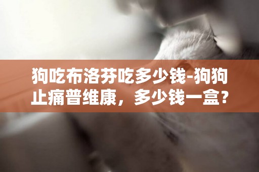 狗吃布洛芬吃多少錢-狗狗止痛普維康，多少錢一盒？